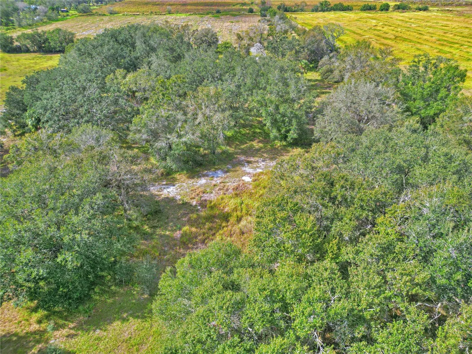 Wauchula, Florida 33873, 0 , 0 ,0,Land,For Sale,CONROY,0,P4928480