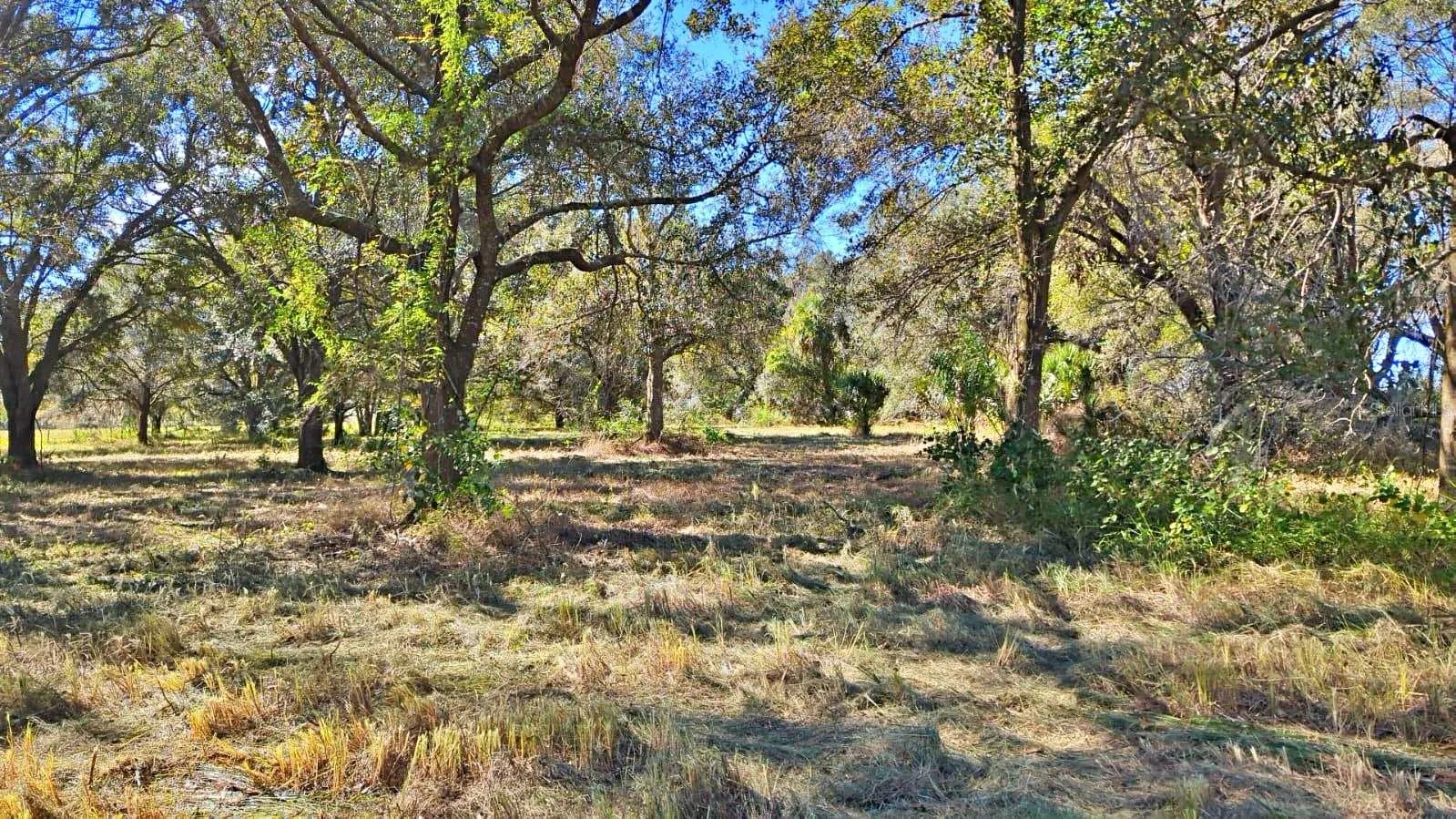 Wauchula, Florida 33873, 0 , 0 ,0,Land,For Sale,CONROY,0,P4928480