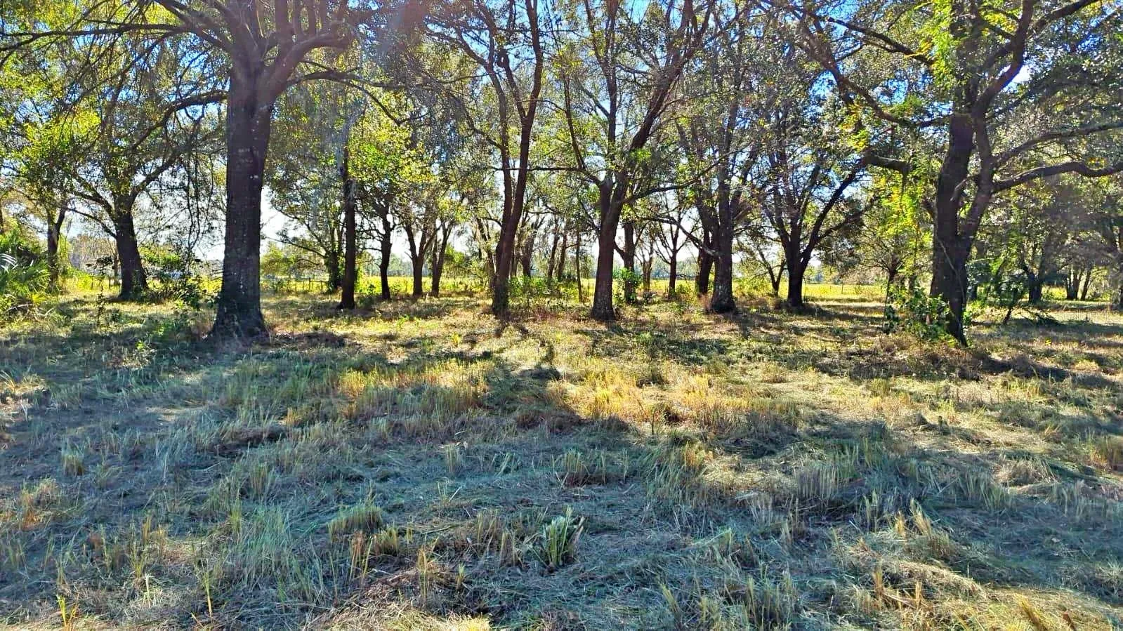 Wauchula, Florida 33873, 0 , 0 ,0,Land,For Sale,CONROY,0,P4928480