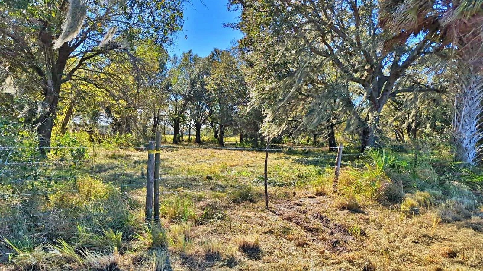 Wauchula, Florida 33873, 0 , 0 ,0,Land,For Sale,CONROY,0,P4928480