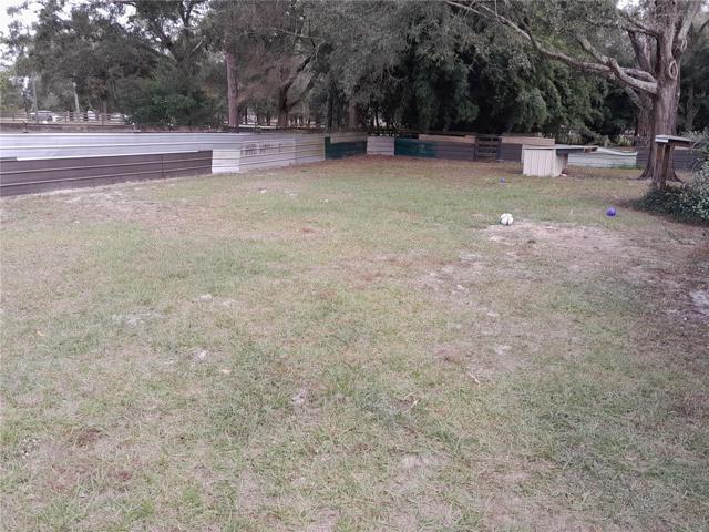 Dog yard
