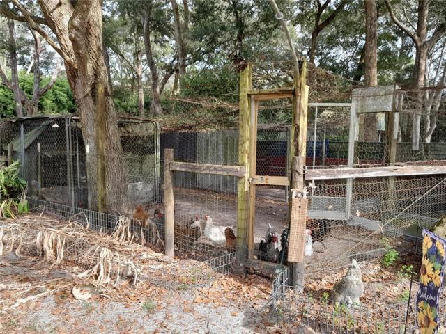 Chicken coop