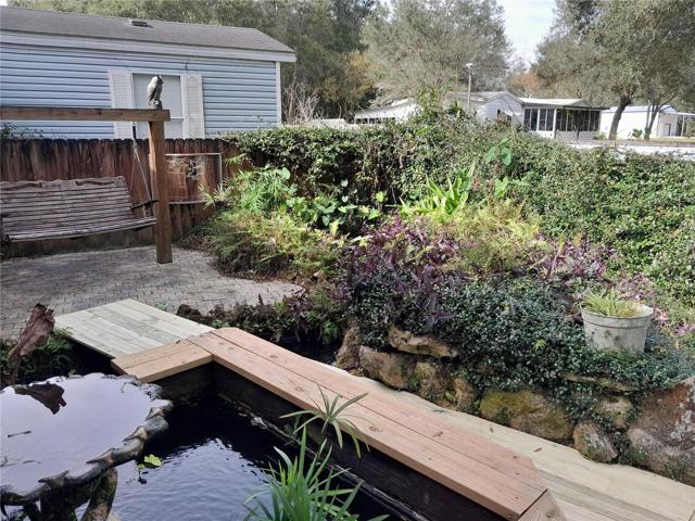 Koi Pond