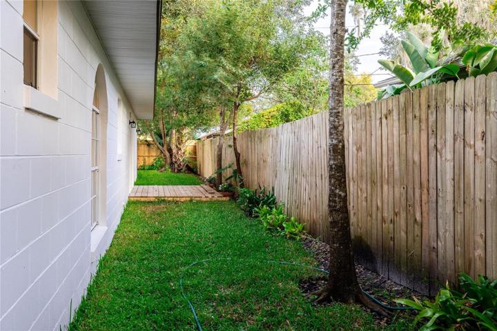 Backyard