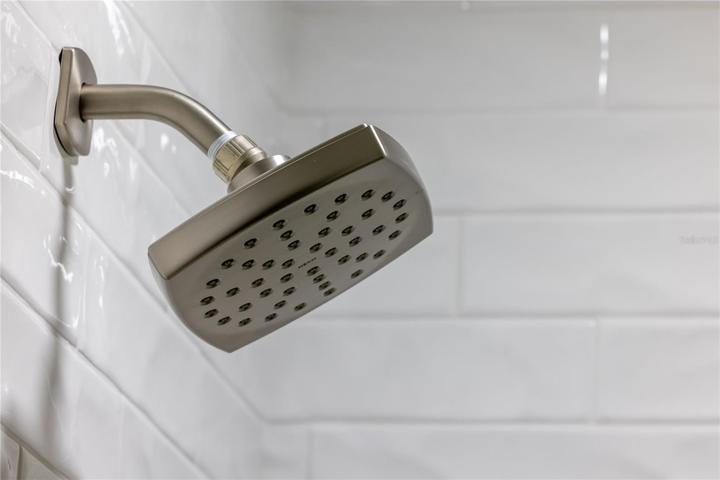 Primary Shower