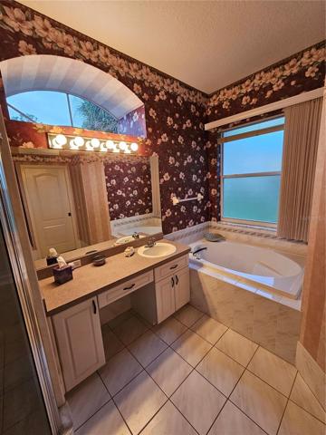 Master bathroom garden tub