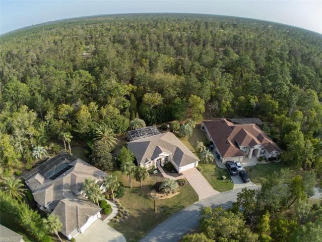 Ariel View - notice the forest behind