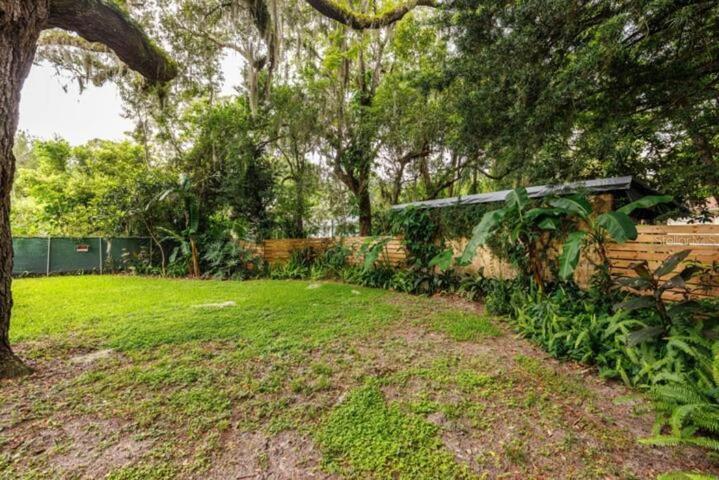 Backyard.
