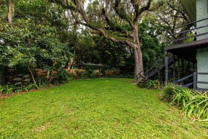 Backyard.