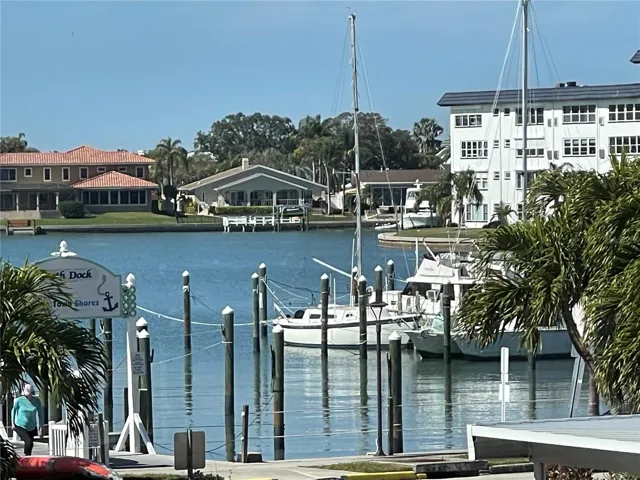 Peaceful partial water view from the Florida room !! Beautiful!