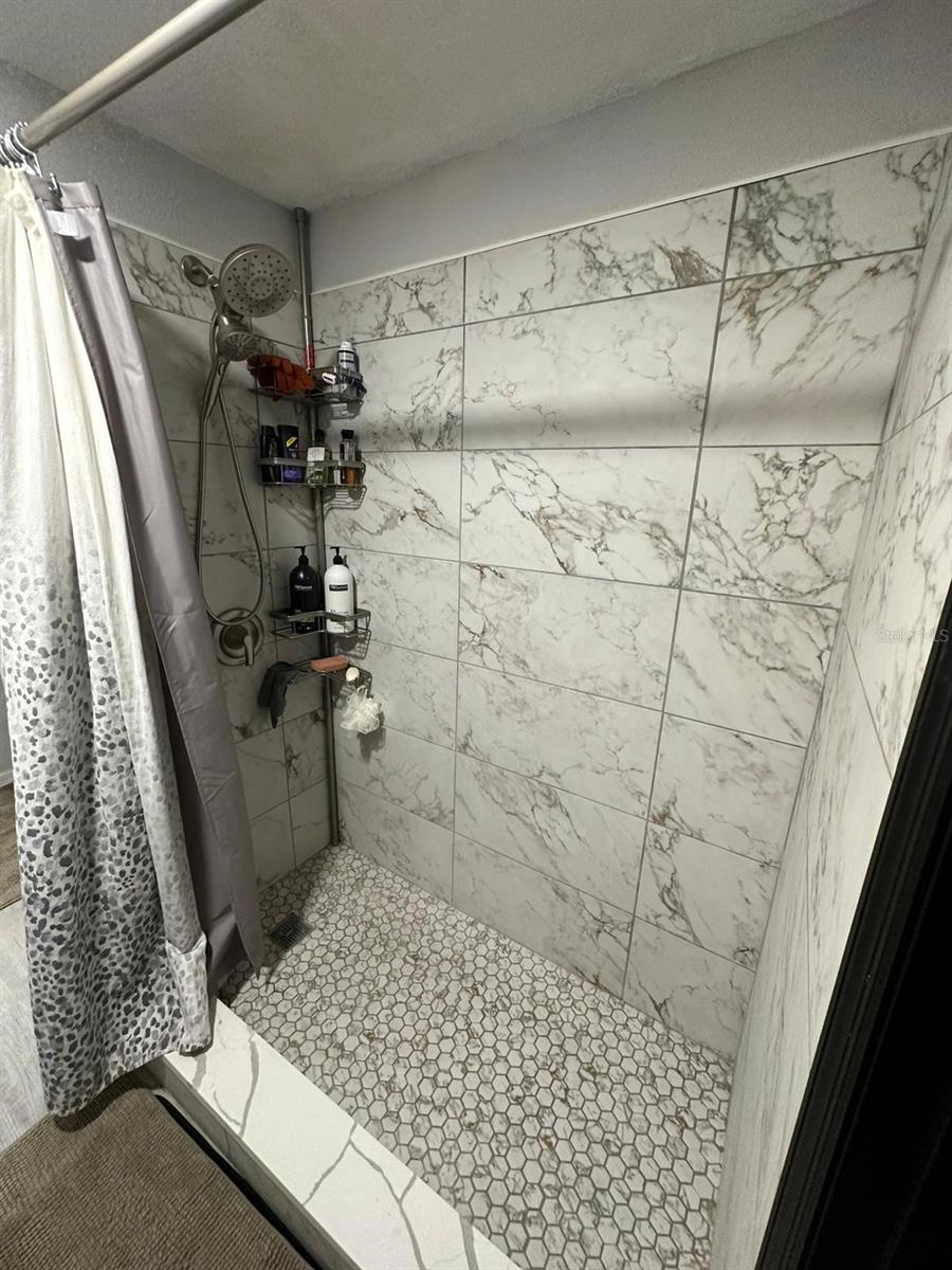 Downstairs Bathroom Shower