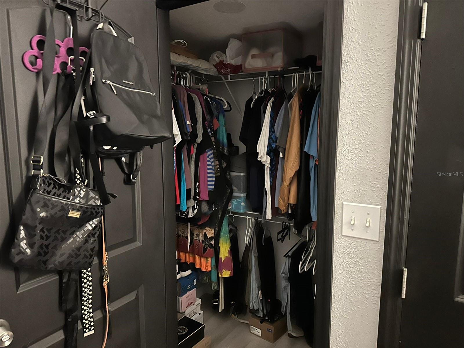 Downstairs Master bedroom Walking closet