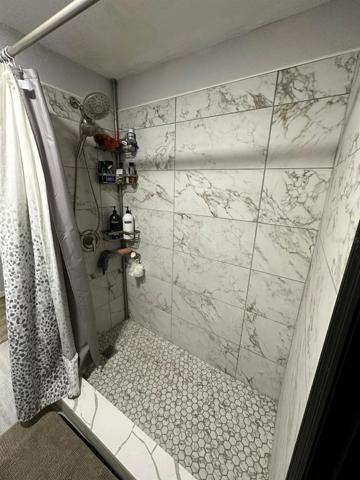 Downstairs Bathroom Shower