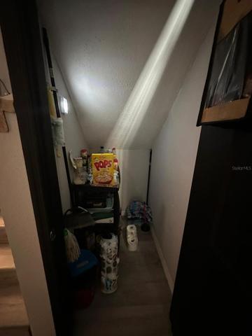 Under the stairs pantry