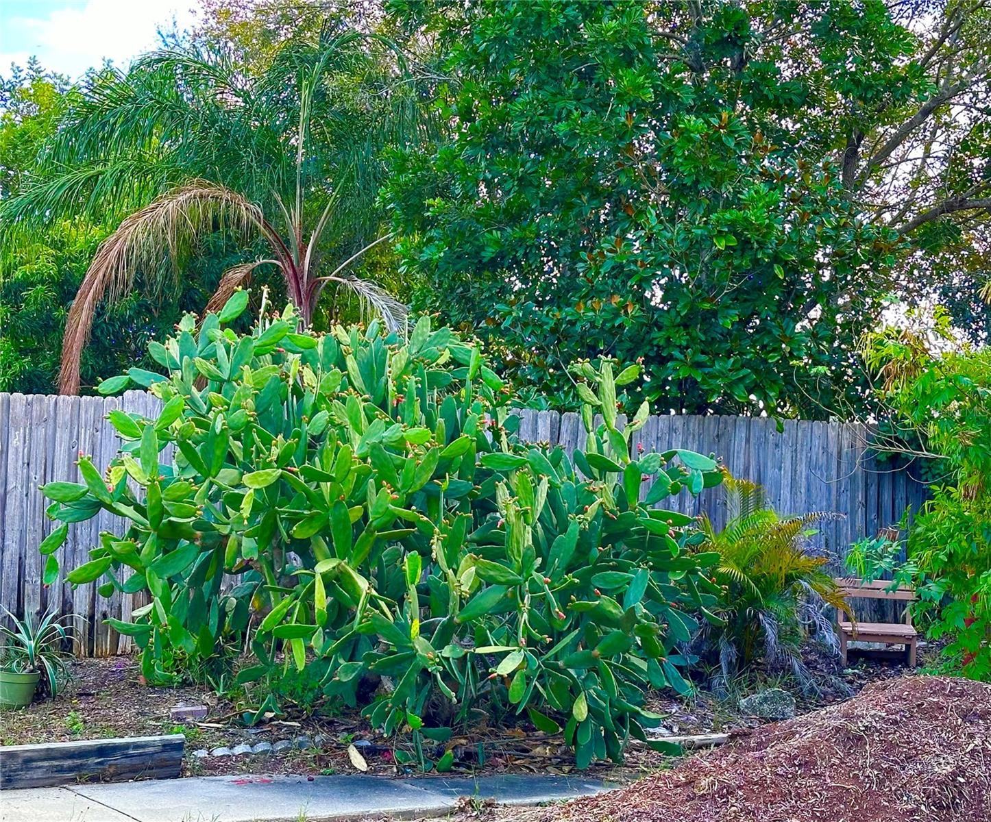 Palm Harbor, Florida 34684, 3 Bedrooms Bedrooms, 0 ,2 BathroomsBathrooms,Residential,For Sale,CARRIAGE,0,U8224363