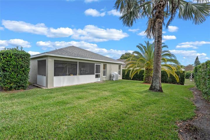 Large Backyard with Irrigations System
