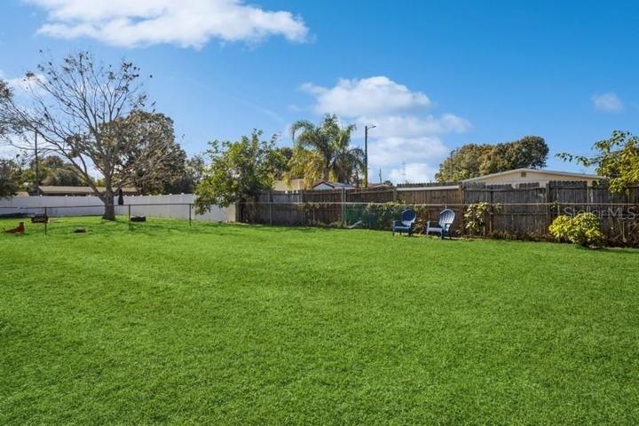 Backyard