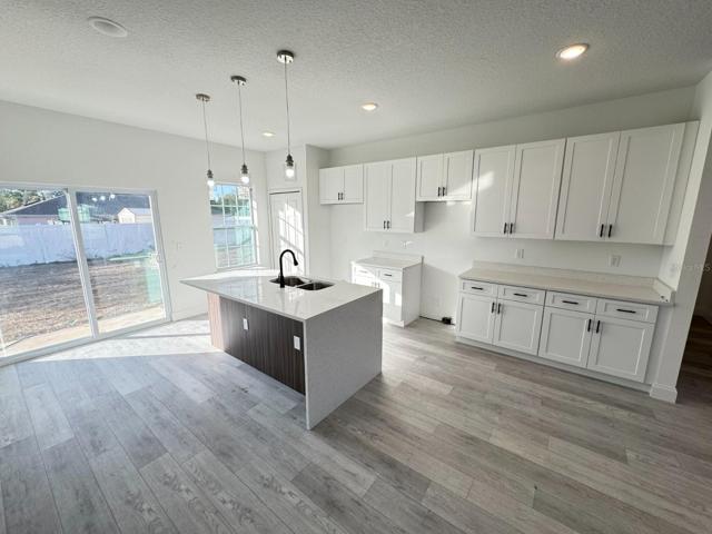 Model Home