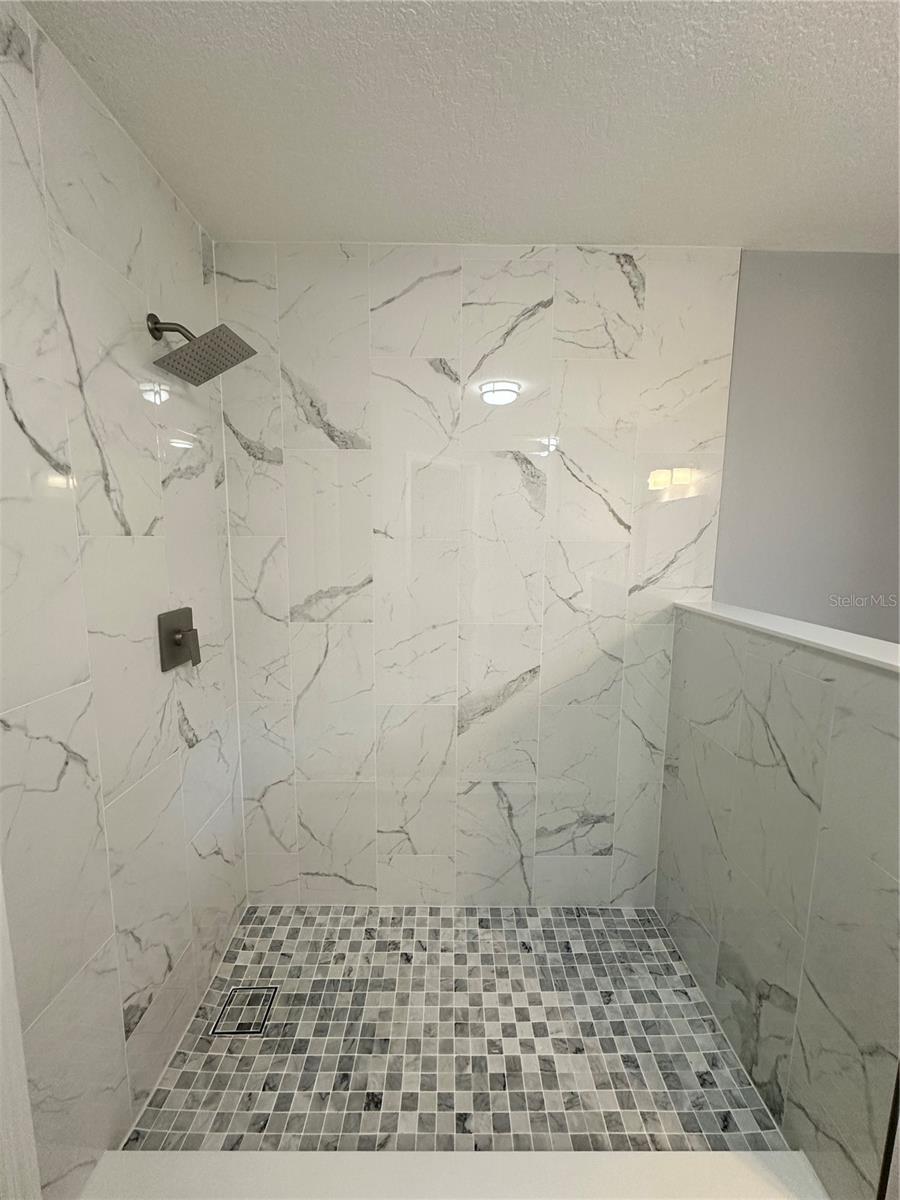 Master Bath Shower