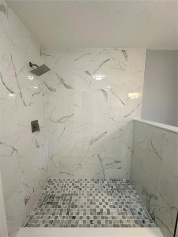 Master Bath Shower
