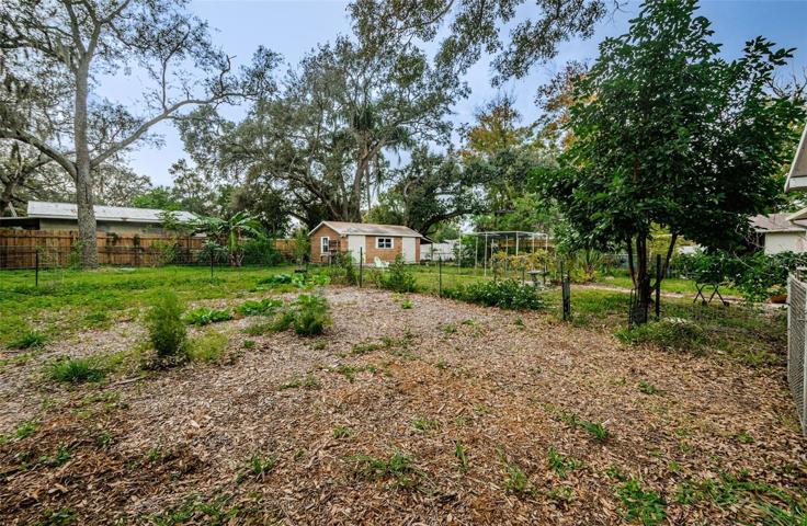 Garden/backyard/shed
