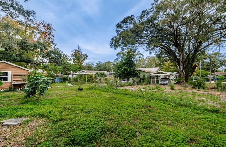 Backyard/shed/garden/back/carport