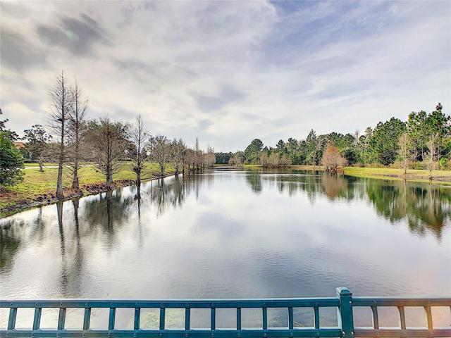 community pond