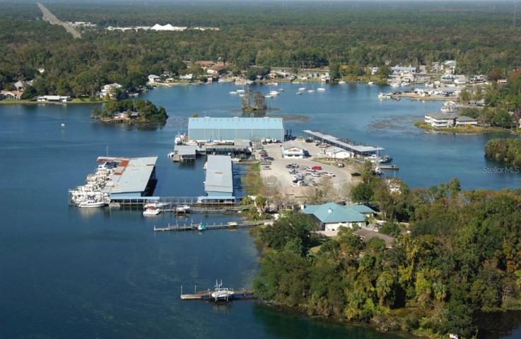 Petes Pier full-service marina near public boat ramp
