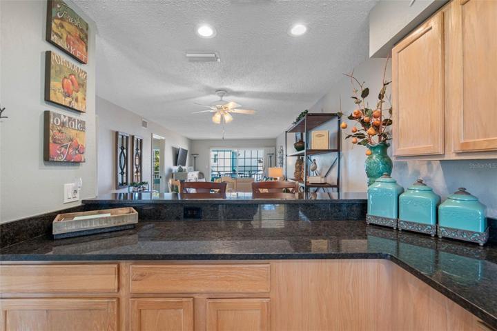 View From Kitchen