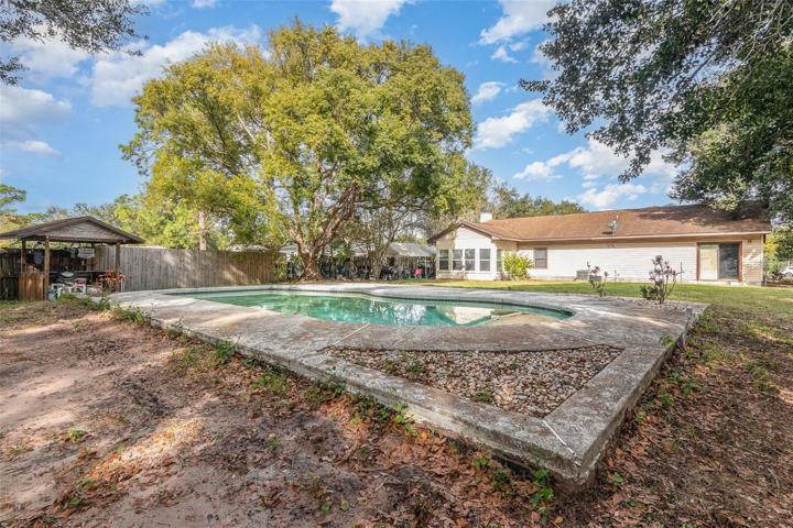 Pool and Pool Deck