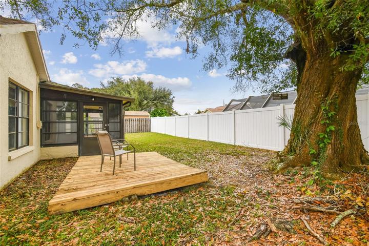 Deck/backyard