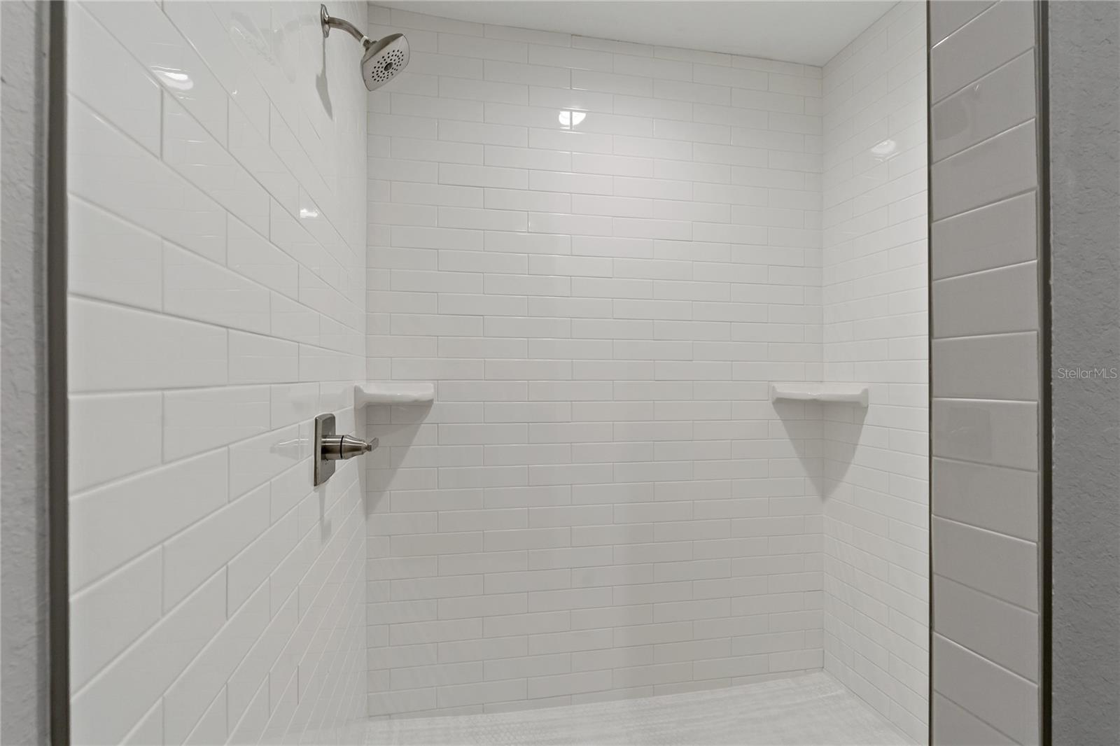 Master shower