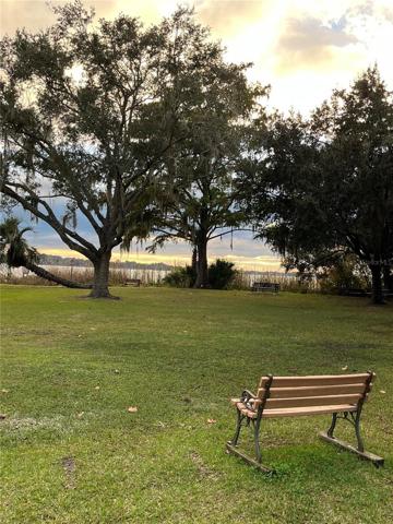 View of Mount Dora Light Tower from Elizabeth Evans Park