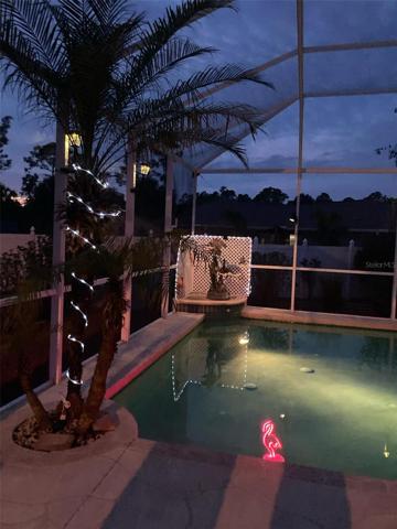 Pool lighting; note the floating neon flamingo!