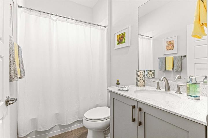 Hall/Guest Bath
