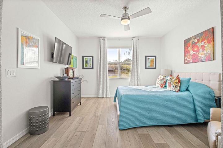 Primary Bedroom - Light & Bright
