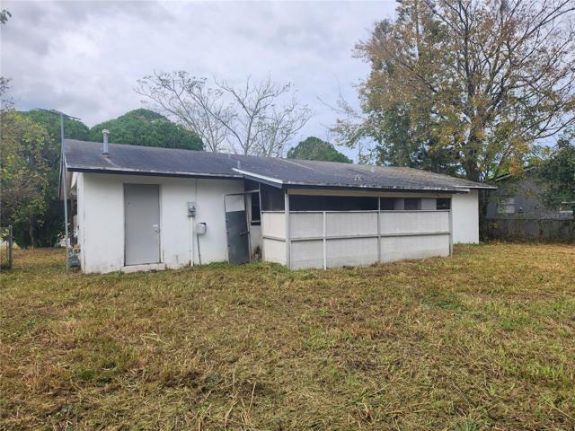 Back Yard