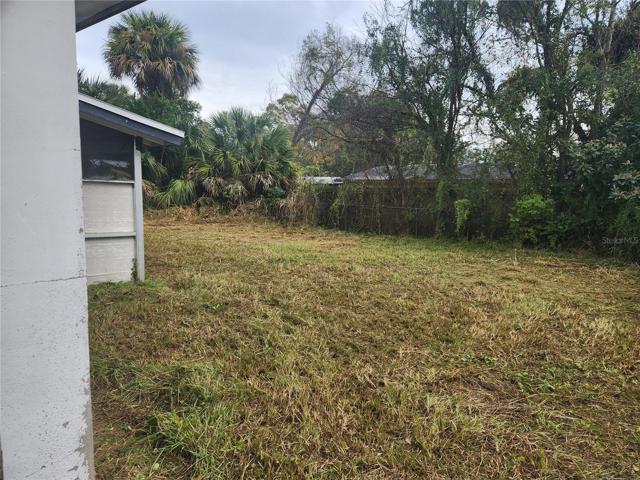 Back Yard