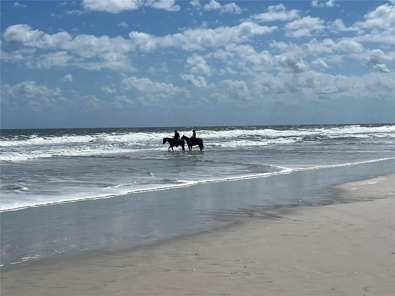 Horse back riding on beach