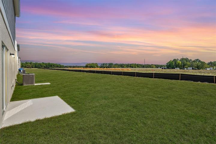 BACKYARD VIEWS