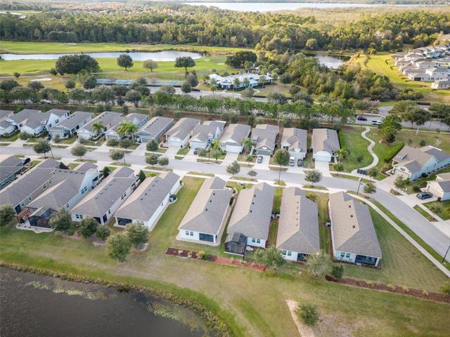 Birds Eye View