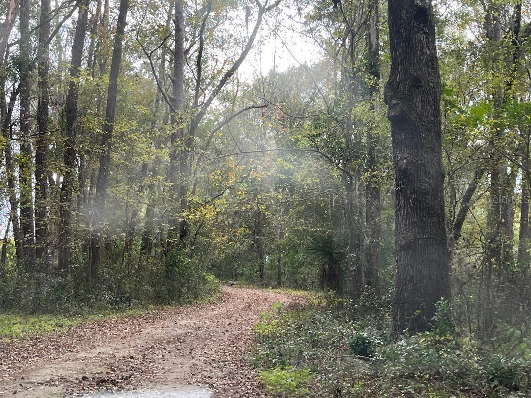 Gainesville, Florida 32608, 0 , 0 ,0,Land,For Sale,WILLISTON,0,GC518289