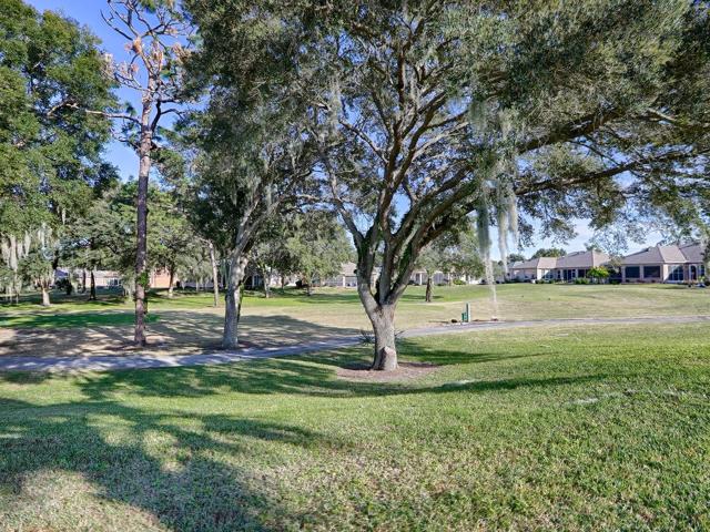 View of Golf Course
