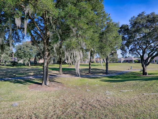 View of Golf Course