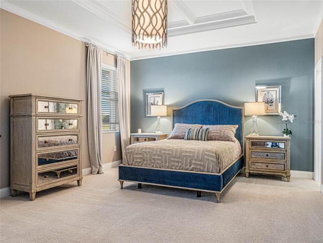 Primary Bedroom with tray ceiling