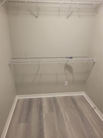 Walking Closet # 1