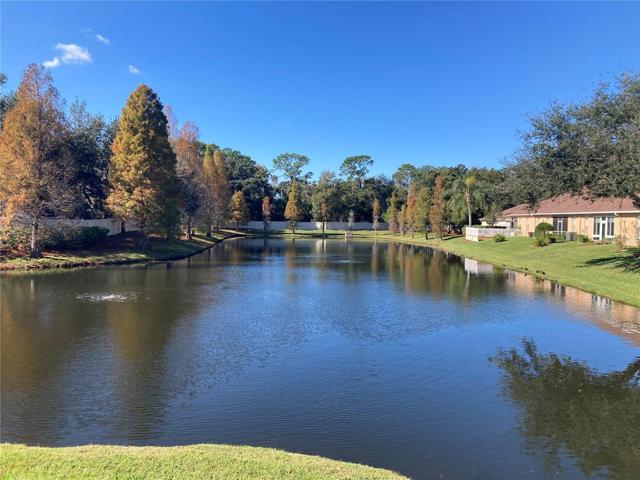 Backyard pond view
