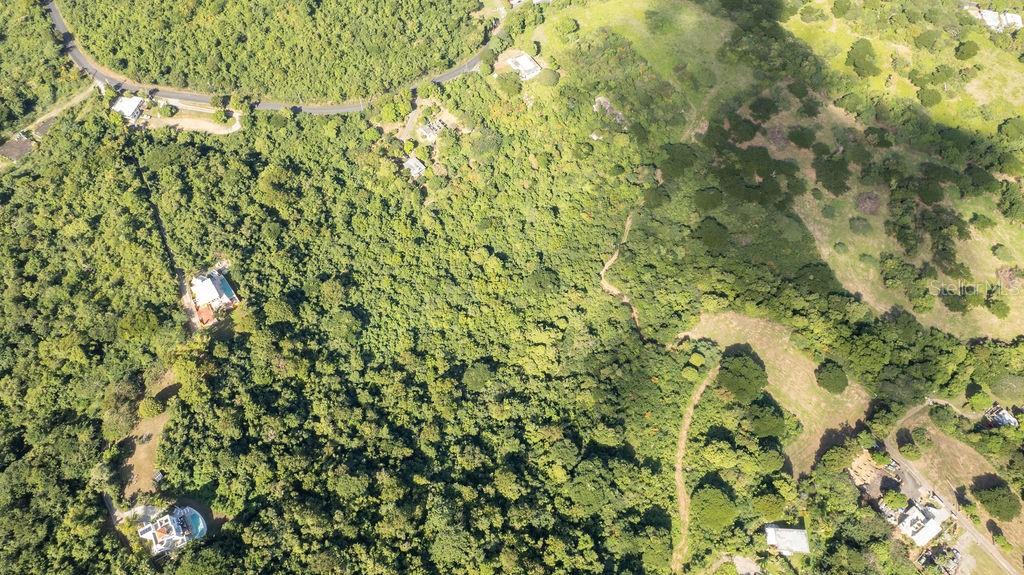 Vieques, Puerto Rico 00765, 0 , 0 ,0,Land,For Sale,PR-201, SECTOR FLORIDA,0,PR9103817