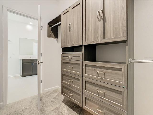 Primary bedroom with custom closet organizer