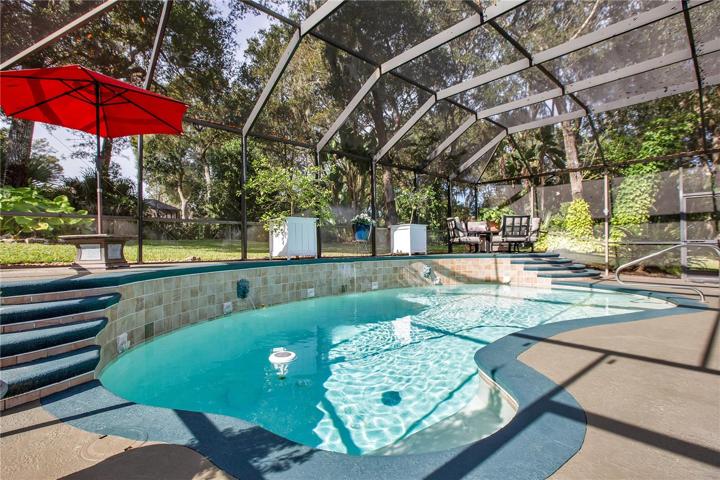 Beautiful pool for cooling off